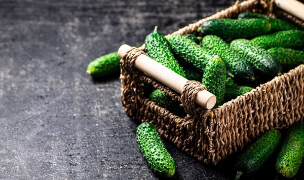 Les secrets pour maintenir la longévité de vos baskets en toile